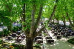 2022/12/images/tour_1152/platani-trebinje-3.jpg