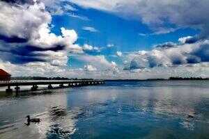Magical Boat Tour on Lake Palić