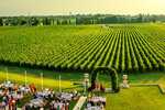 2025/03/images/tour_1822/new-folder-3untitled-design-251592908811354png-large.jpg