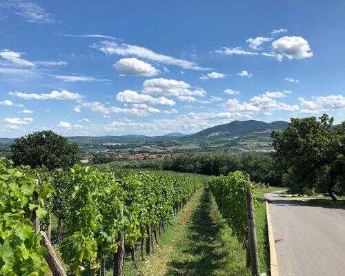 2024/12/images/tour_244/vinarija-tarpos-12-1-large.jpg