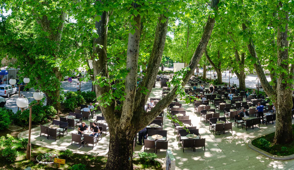 2022/12/images/tour_1152/platani-trebinje-3.jpg